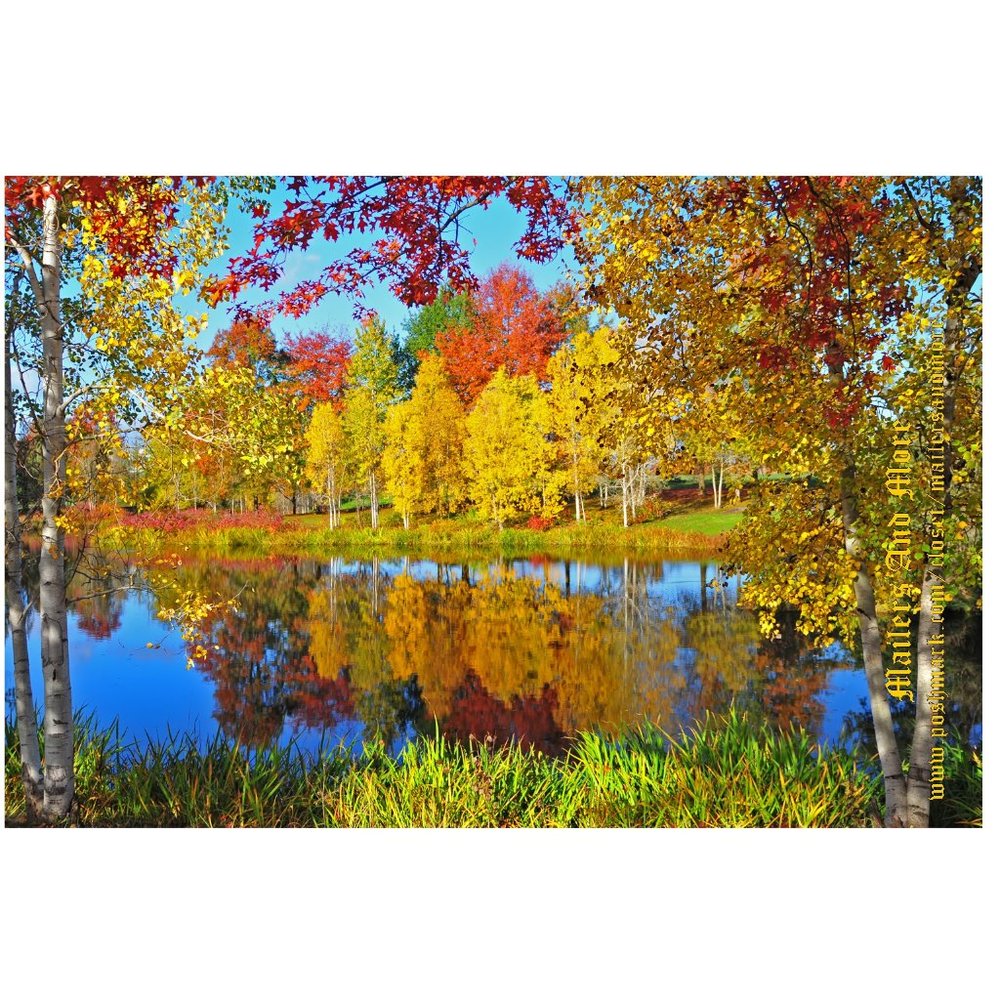 25 10X13 Poly Mailers Autumn Lake Shipping Envelopes PRICE IS FIRM Fall - Picture 3 of 9